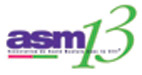 ASM 13