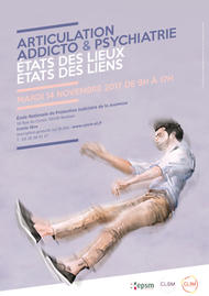 Articulation addicto et psychiatrie sur la métropole lilloise Articulation addicto et psychiatrie sur la métropole lilloise