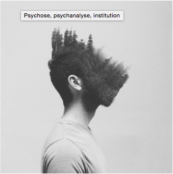 Psychose, psychanalyse, institution Psychose, psychanalyse, institution