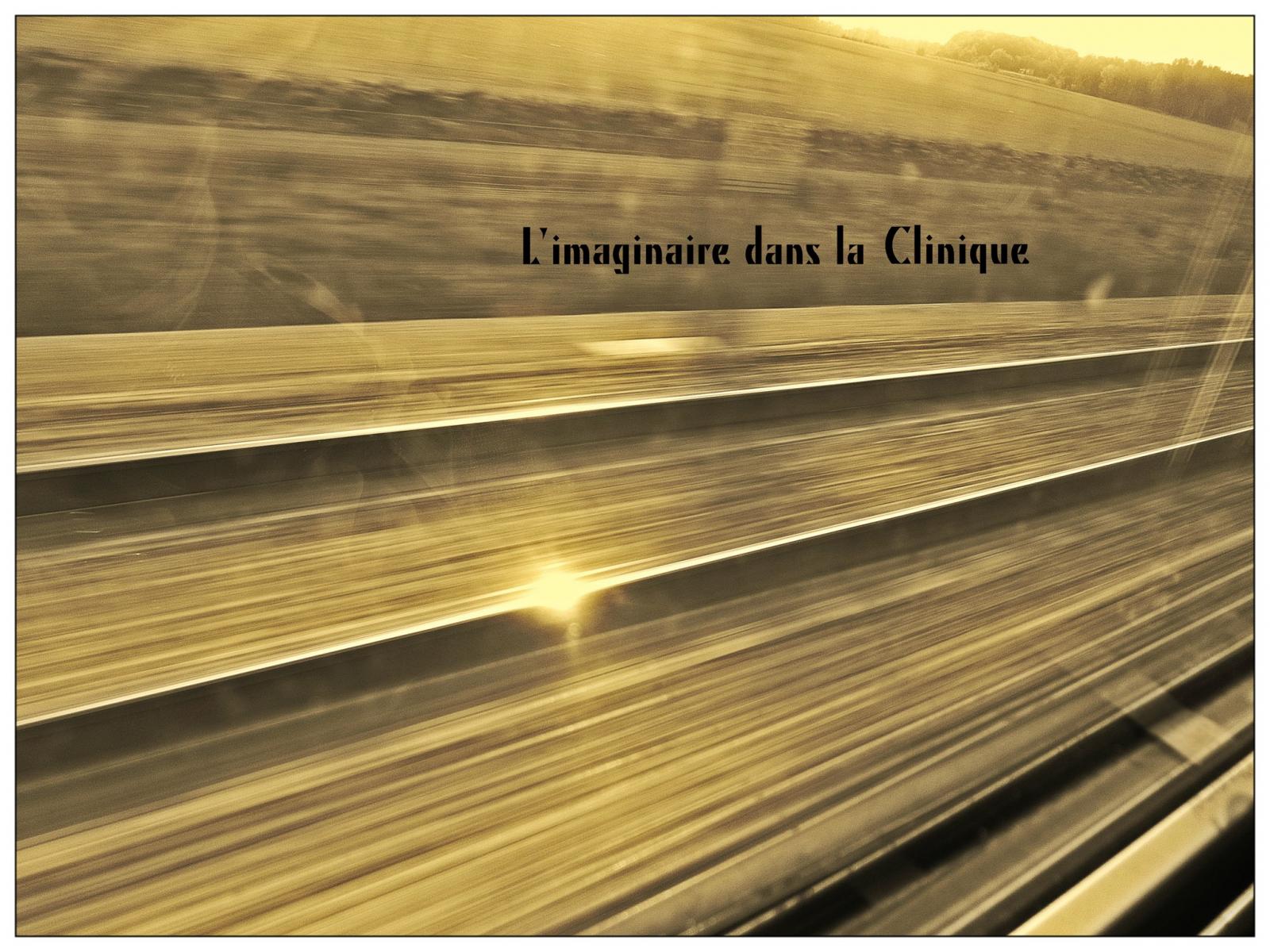 L’imaginaire dans la clinique L’imaginaire dans la clinique