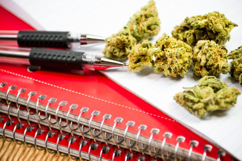 Consommation précoce de cannabis et influence sur les résultats scolaires : le lien se précise ? Consommation précoce de cannabis et influence sur les résultats scolaires : le lien se précise ?