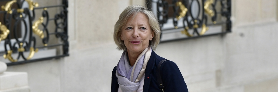 Sophie Cluzel présente sa feuille de route aux députés Sophie Cluzel présente sa feuille de route aux députés