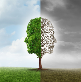 Rencontres autour de la bipolarité les 29 et 30 mars Rencontres autour de la bipolarité les 29 et 30 mars
