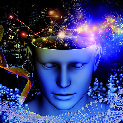 Le projet Neuro-Sainte-Anne 2022 est lancé Le projet Neuro-Sainte-Anne 2022 est lancé