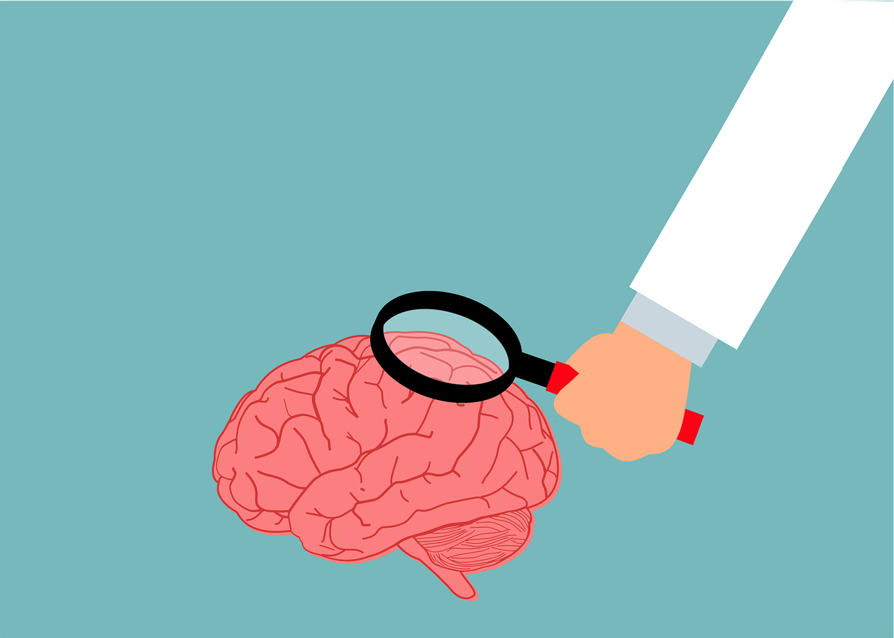 Institut Robert-Debré du Cerveau de l’Enfant : le chantier est officiellement lancé