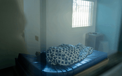 Rapport sur l'effectivité des voies de recours en psychiatrie