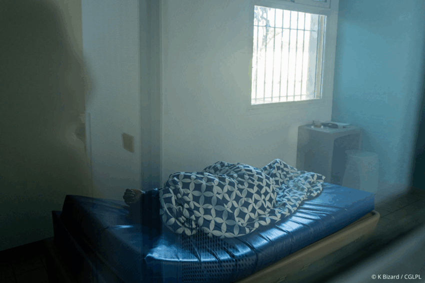 Rapport sur l'effectivité des voies de recours en psychiatrie