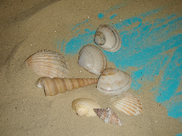 La thérapie par le jeu de sable, une spécificité jungienne La thérapie par le jeu de sable, une spécificité jungienne