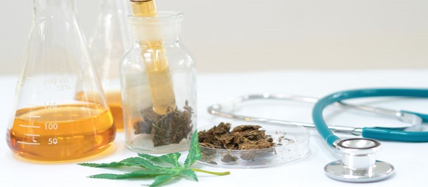 Cannabis thérapeutique : l'académie de pharmacie critique l'expérimentation en cours Cannabis thérapeutique : l'académie de pharmacie critique l'expérimentation en cours