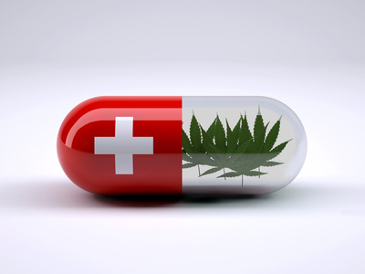 Cannabis thérapeutique : feu vert vert de l'Agence du médicament Cannabis thérapeutique : feu vert vert de l'Agence du médicament