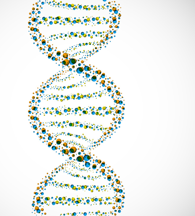 Le Conseil d'Etat présente son rapport sur la bioéthique Le Conseil d'Etat présente son rapport sur la bioéthique