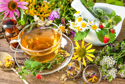 Santé Mentale Les plantes médicinales et l'herboristerie Les plantes médicinales et l'herboristerie : à la croisée de