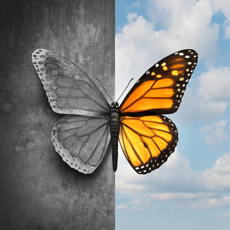 PERCEPTION, CONNAISSANCE ET PRISE EN CHARGE DES TROUBLES BIPOLAIRES PERCEPTION, CONNAISSANCE ET PRISE EN CHARGE DES TROUBLES BIPOLAIRES