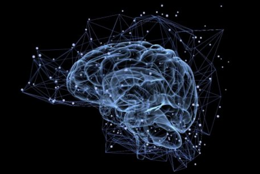 L'Inserm valide une « carte » du cerveau ouvrant la voie à une médecine prédictive L'Inserm valide une « carte » du cerveau ouvrant la voie à une médecine prédictive