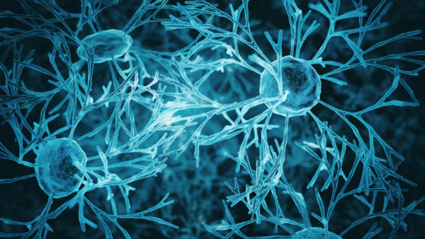 Troubles bipolaires : les effets du lithium sur le cerveau Troubles bipolaires : les effets du lithium sur le cerveau