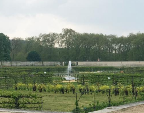 Des jardins pour mieux accompagner les personnes souffrant d'Azheimer Des jardins pour mieux accompagner les personnes souffrant d'Azheimer