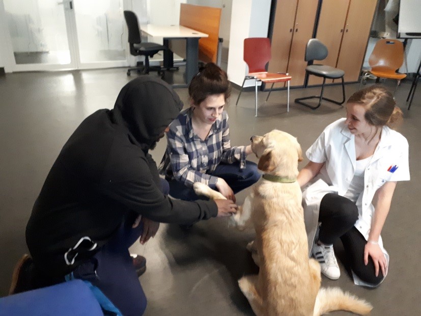 Médiation animale : l'atelier « la main à la patte » Médiation animale : l'atelier « la main à la patte »