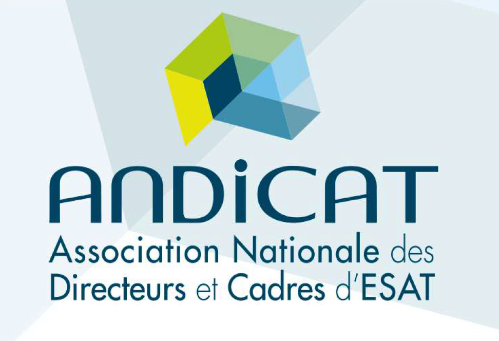 PRIORITES POUR FLUIDIFIER LES PARCOURS DES TRAVAILLEURS EN SITUATION DE HANDICAP PRIORITES POUR FLUIDIFIER LES PARCOURS DES TRAVAILLEURS EN SITUATION DE HANDICAP
