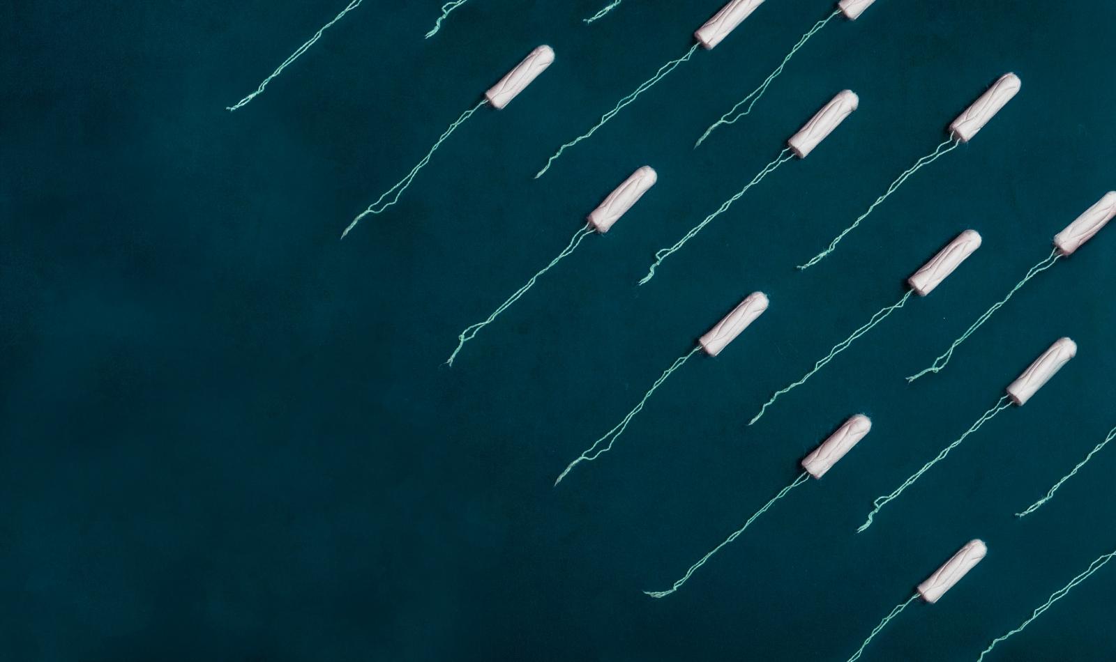 Choc toxique menstruel : respecter les instructions d’usage des tampons pour limiter le risque Choc toxique menstruel : respecter les instructions d’usage des tampons pour limiter le risque