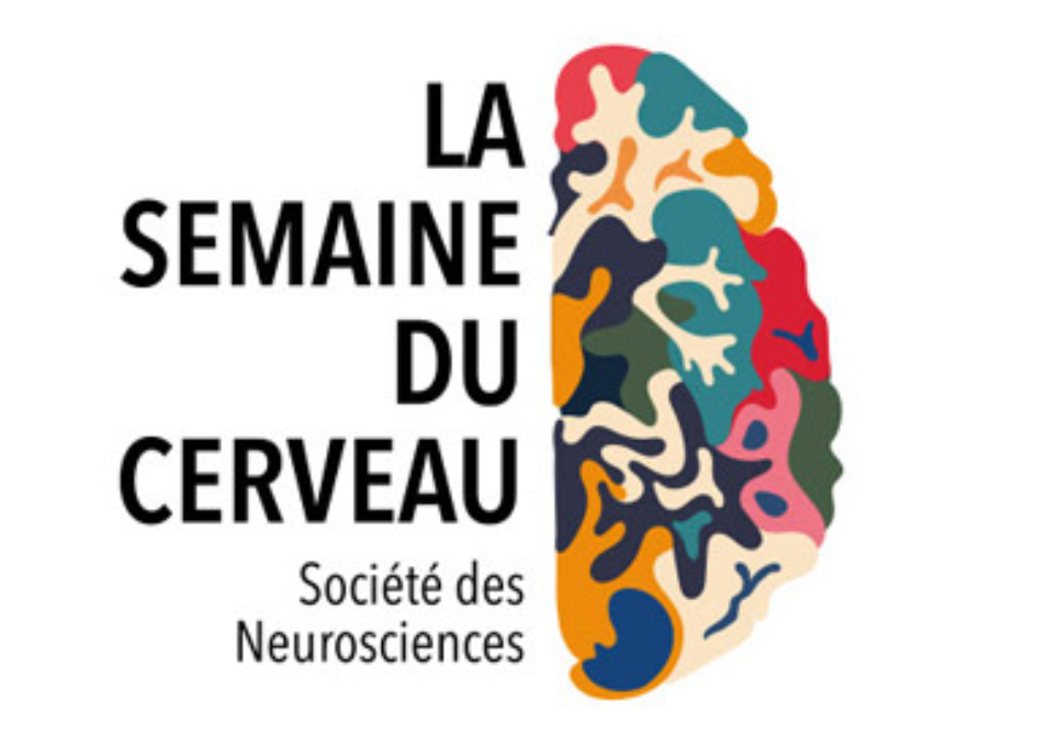 Semaine du cerveau 2021, save the date ! Semaine du cerveau 2021, save the date !