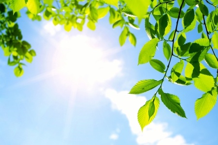 Psychotropes et canicule Psychotropes et canicule