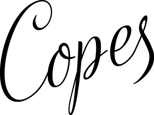Focus sur des formations du Copes Focus sur des formations du Copes