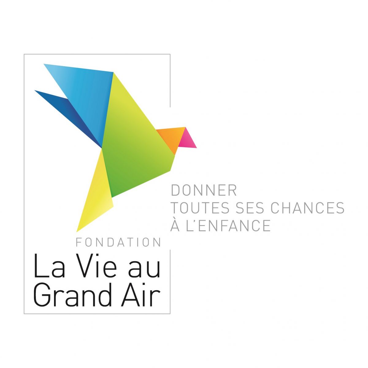 La fondation la Vie au grand Air recrute un pédopsychiatre La fondation la Vie au grand Air recrute un pédopsychiatre